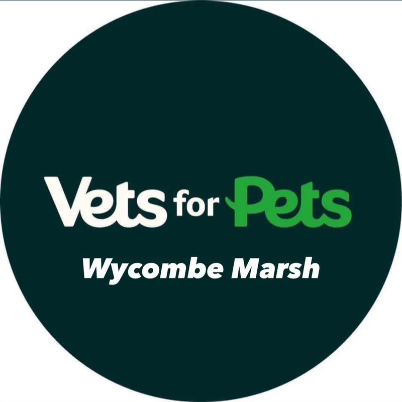 Vets4Pets Wycombe Marsh