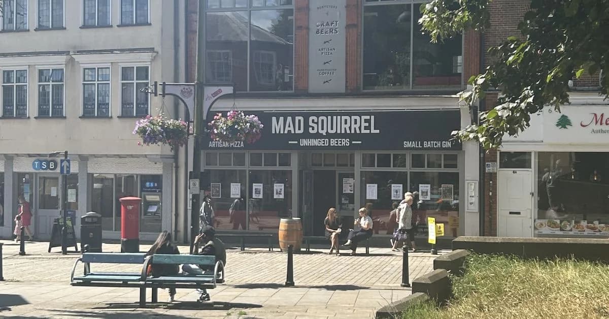 Mad Squirrel