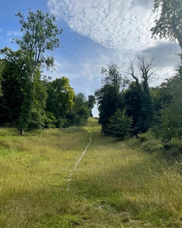 Chiltern Rangers - Image 4