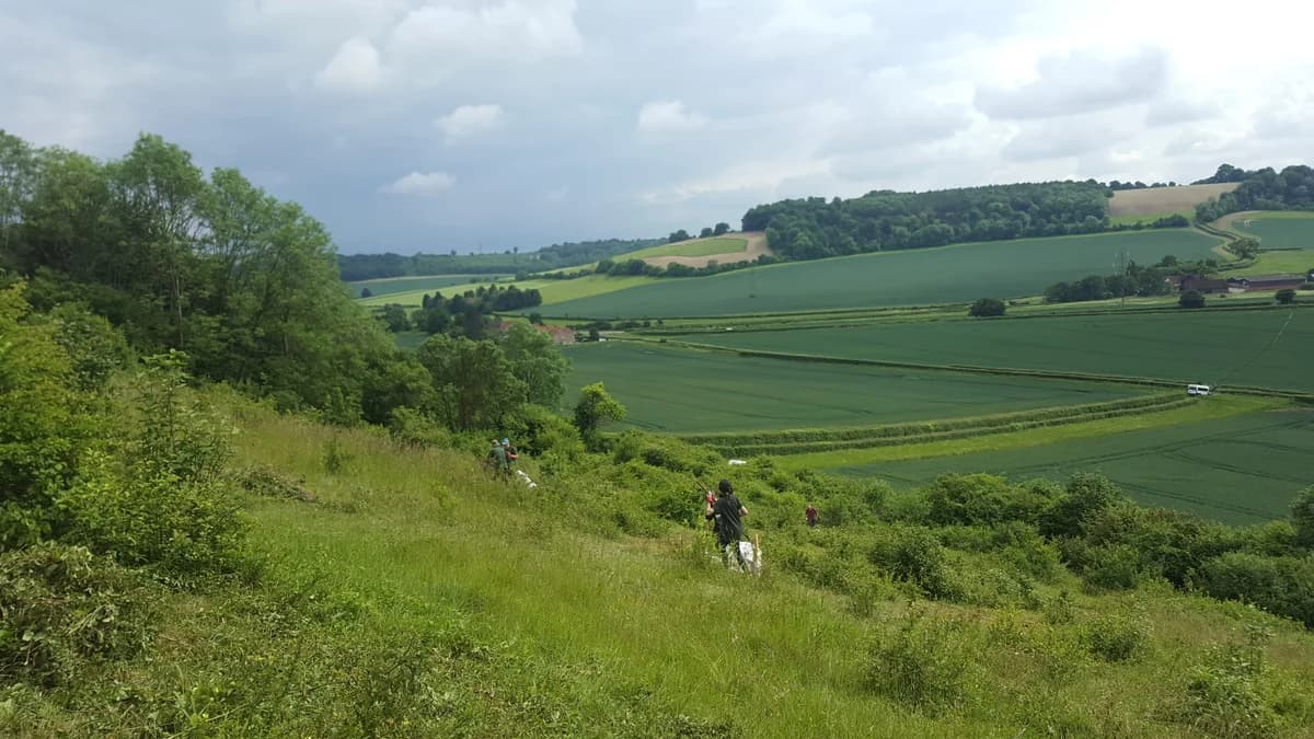 Chiltern Rangers - Image 2