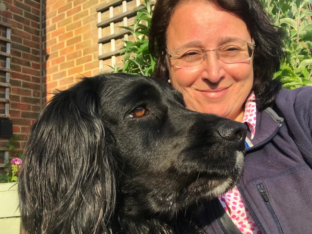 HouseSit Match - Image 3