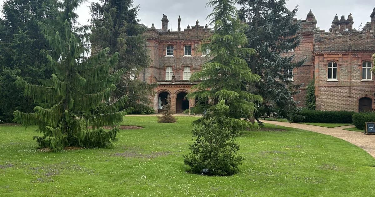 πͺ Brand New Family Festival Coming To Bucks