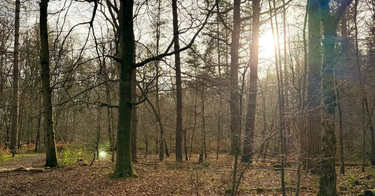 ๐ Meet the new Pulse (plus your weekend in Wycombe)